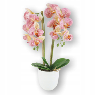 Orchid Umelé orchidey Artificial Flower 5k