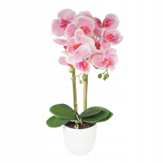 Orchid Umelé orchidey Artificial Flower 5p