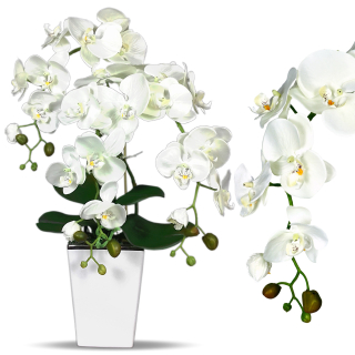 Orchid Umelé orchidey umelé kvetiny B018