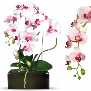 Orchid Umelé orchidey umelé kvetiny R016Cz