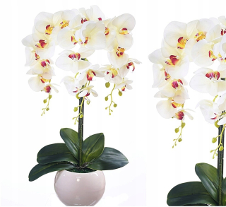 Orchidea Umelá Artificial Silicone orchidey