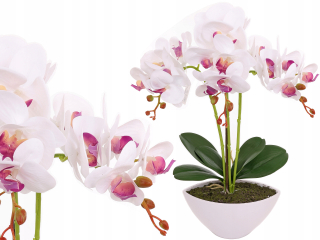 Orchidea v hrnci ako živá umelá kvetina 3 výhonky