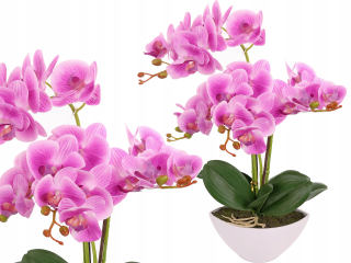Orchidea v kvetináči ako živý umelou kvetinou 4 výhonky