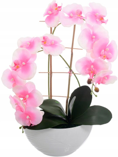 Orchidea X2 Kvety Pot Zloženie 55cm dekorácie