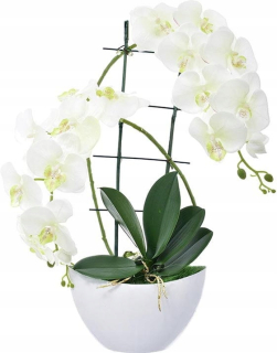 Orchidea X2 umelé kvetináč orchidea kvetina 55cm