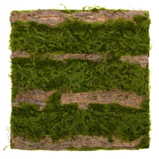 Umelá zelená stena s machom a kôrou - 50x50 mat