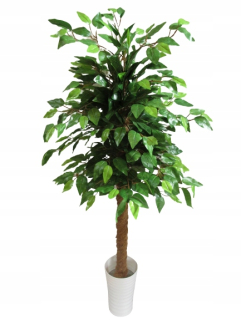 Umelý strom Fikus Benjamin strom 130cm