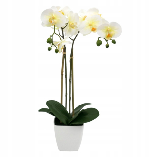Umelá orchidea 2 potápanie v bielom hrnci 50cm