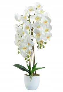 Umelá orchidea kvet orchidey, hustý biely 70cm