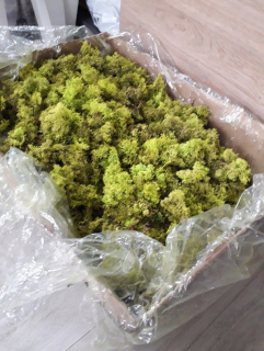 Podstielka z makrely 250g