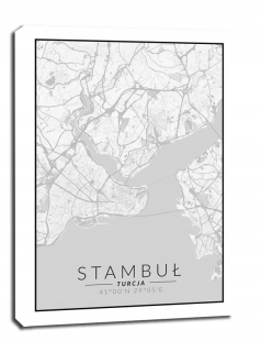 Istanbul mapa čiernobiela - obrázok na plátne