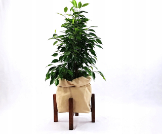 Stojan na kvety - Črepníkové kvety stánok 25 / H20 Oak hnedá