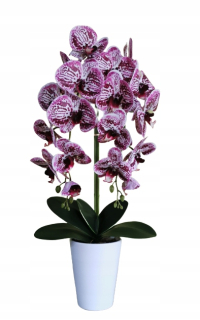Fialová orchidea guma dva výhonky dekorácie obývacia izba