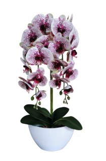 Orchid Rubber Double darček výročie svadby