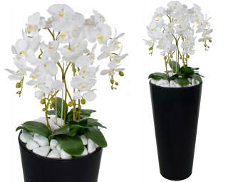 Umelé orchideové čierne hrniec 5 vetiev 135 cm