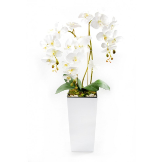 Umelá orchidea - umelé orchidey kamienky