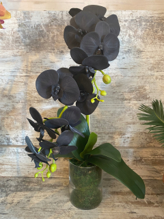 Orchidea umelá čierna 60cm v sklenených 2 výhonky