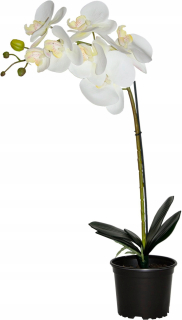 Orchid Umelé Premium 7 Flowers