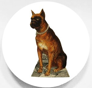 Štýl S-08 10 palcov (25,5 cm) Vysoko kvalitná doska