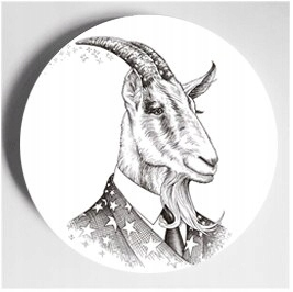 Štýl WQ23 10 palcov (25,5 cm) Rory Dobnera Plate