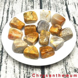 Chrysanthemum Style 500G Natural Blue Angelite