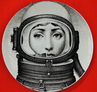 Štýl č. 36 8 palcov Lady Skull Plates Beauty Illusous