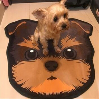Štýl č. 6 80x80cm módny predaj v Nowy Styl