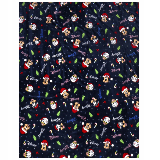 Prikrývka na posteľ - Disney Polyesterova prikrývka 220 x 160 cm