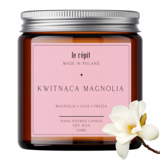Scéna Sviečka kvitnúca Magnolia le Répit 1 ks.