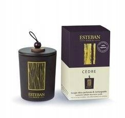 Tradičná sviečka Cedre Esteban Paris 1 PC.