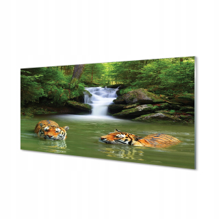 Grafická akrylová obrazová vodopád tigre 140x70 cm