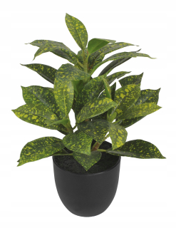 Aucuba Artificial Plant 30 cm ako skutočný