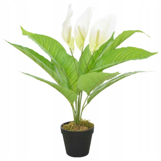 Antúrium umelé rastliny s kvetináčmi, biela, 55 cm