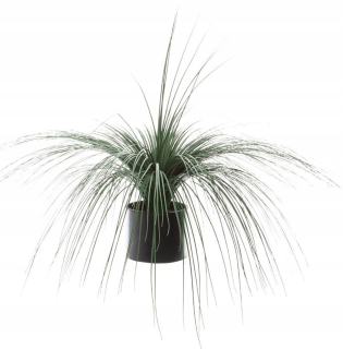Umelá rastlina tráva 40 cm v hrnci