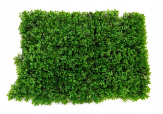 Umelý Green Wall Panel Mat Buchschard 40x60