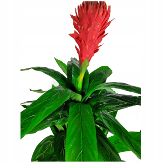 Umelé stromové stromy echmea 190 cm