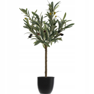 Zdobený olivovník v hrnci 60 cm