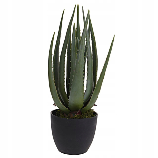 Umelá aloe v spodných 45 cm _______________