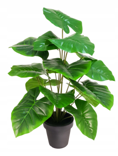 Umelecký Philodendron Monstera v Pot 62
