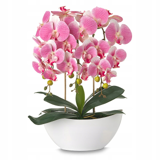 Umelé orchidey pot. Veľké silikónové kvety