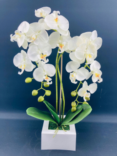 Umelá orchidea v hrnci kvetín orchideí XXL