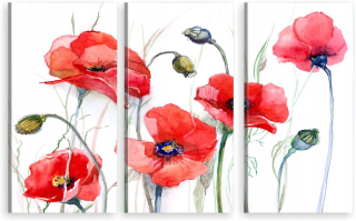 TRIPTYCH MAĽBA NA STENU MAĽOVANÉ MAKY 800