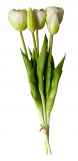 Tulip Silikónový kytica 5 kusov tulipánov 43 cm