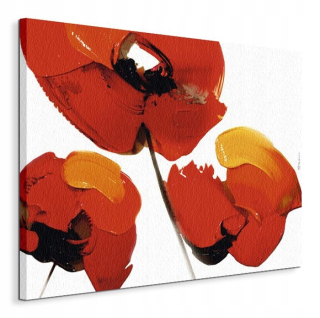 Tibi hegyesi plagát Tri makové rastliny bez rámu 80 x 60 cm