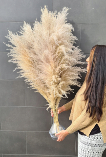 Pampas Pampas Fluffy XXL Top 90 cm Natural