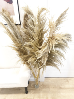 Pampy trávy Sušené Boho 140cm škvrnitý
