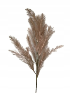 Pampas Grass Pampas Pampas Branch Boho 110 cm