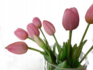 Tulipány kremíkové kytice umelé kvety ako živé