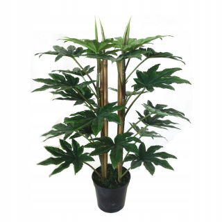 Umelé kvety,ovocie - Umelý strom Shefler Tree 60 cm