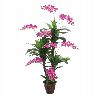 Umelé kvety,ovocie - Umelá orchidea 200 cm